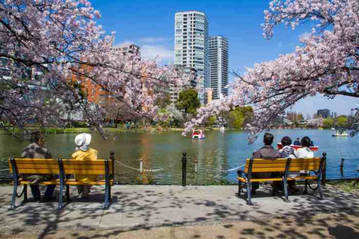 Ueno park tokyo japan visit time hanami cherry koen guide complete festival blossoms flowers where seasonal lotus april spring shutterstock