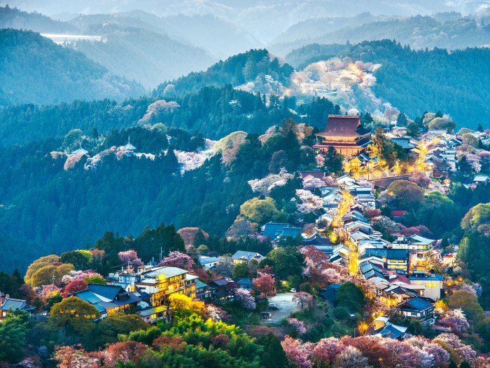 Fuji japan pagoda tours chureito mt places travel blossom cherry